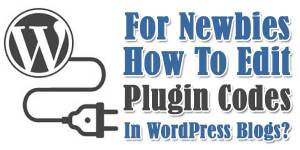 For-Newbies-How-To-Edit-Plugin-Codes-In-WordPress-Blogs