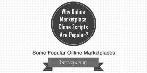 Why-Online-Marketplace-Clone-Scripts-Are-Popular--Infographic