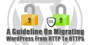 A-Guideline-On-Migrating-WordPress-From-HTTP-To-HTTPS