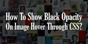 How-To-Show-Black-Opacity-On-Image-Hover-Through-CSS