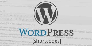 How-To-Write-Create-And-Use-Custom-Shortcodes-In-WordPress