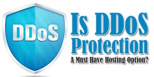 Is-DDoS-Protection-A-Must-Have-Hosting-Option