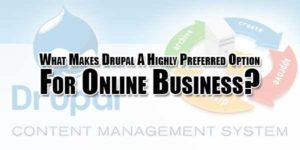 What-Makes-Drupal-A-Highly-Preferred-Option-For-Online-Business