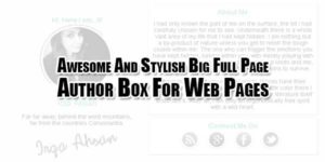 Awesome-And-Stylish-Big-Full-Page-Author-Box-For-Web-Pages