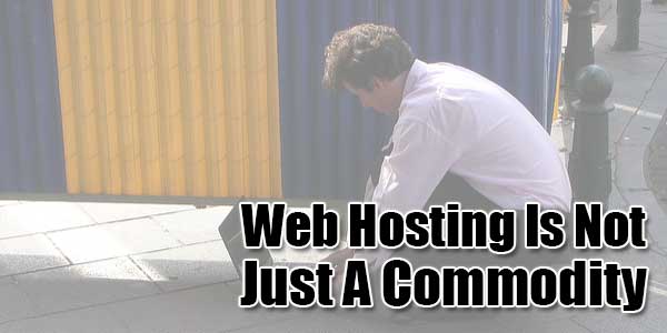 Web-Hosting-Is-Not-Just-A-Commodity