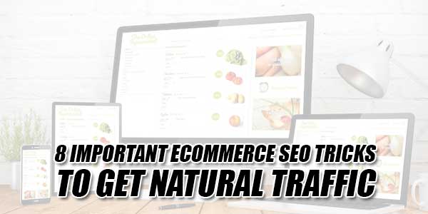 8-Important-ECommerce-SEO-Tricks-To-Get-Natural-Traffic