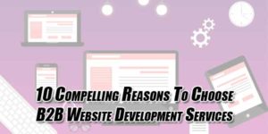 10-Compelling-Reasons-To-Choose-B2B-Website-Development-Services