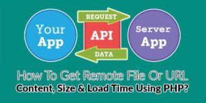 How-To-Get-Remote-File-Or-URL-Content,-Size-&-Load-Time-Using-PHP