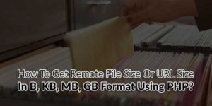 How-To-Get-Remote-File-Size-Or-URL-Size-In-B,-KB,-MB,-GB-Format-Using-PHP
