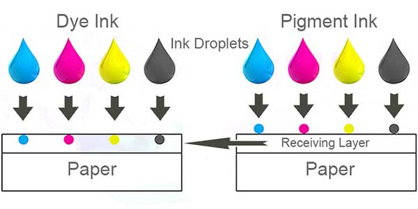 Difference-Between-Pigment-Based-Ink-Cartridges-And-Dye-Based-Ink-Cartridges
