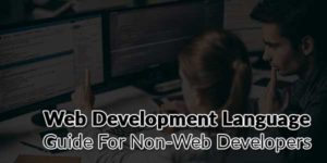 Web-Development-Language-Guide-For-Non-Web-Developers