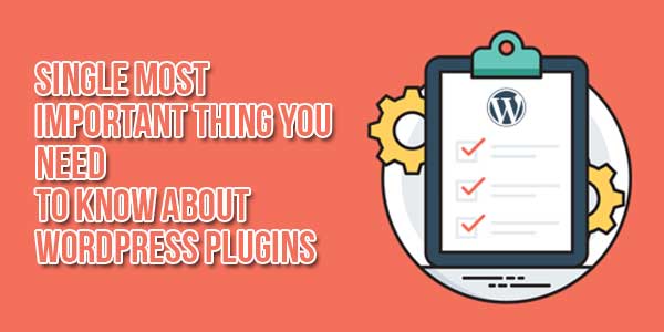 Single-Most-Important-Thing-You-Need-To-Know-About-WordPress-Plugins
