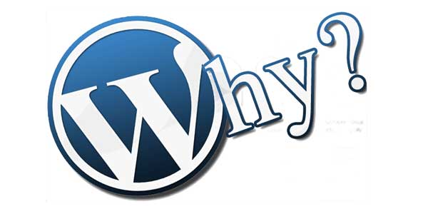 WordPress-Why