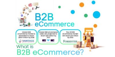 B2B Ecommerce: Everything You Need To Know INFOGRAPHICS   EXEIdeas