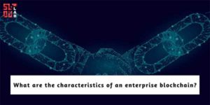 What-Are-The-Characteristics-Of-An-Enterprise-Blockchain
