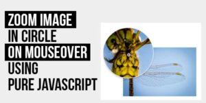 Zoom-Image-In-Circle-On-Mouseover-Using-Pure-JavaScript