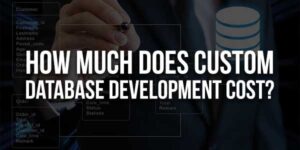 How-Much-Does-Custom-Database-Development-Cost