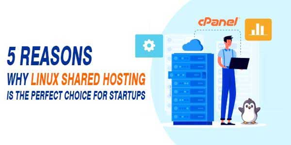 5-Reasons-Why-Linux-Shared-Hosting-Is-The-Perfect-Choice-For-Startups