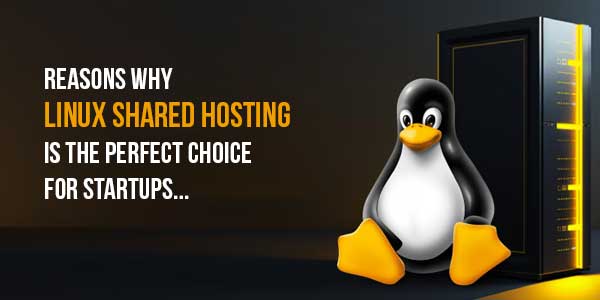 Reasons-Why-Linux-Shared-Hosting-Is-The-Perfect-Choice-For-Startups