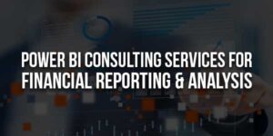 Power-BI-Consulting-Services-For-Financial-Reporting-&-Analysis