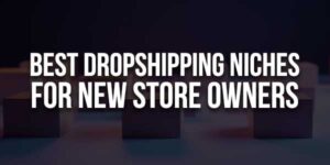 Best-Dropshipping-Niches-For-New-Store-Owners