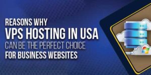 Reasons-Why-VPS-Hosting-In-USA-Can-Be-The-Perfect-Choice-For-Business-Websites