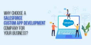 Why-Choose-A-Salesforce-Custom-App-Development-Company-For-Your-Business